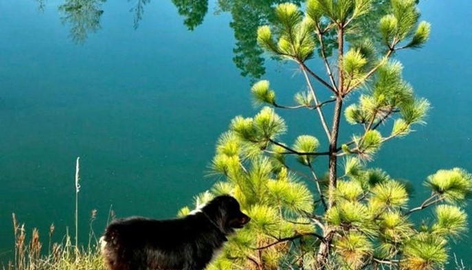 Planes Extremos - Hotel Villa de Leyva Plaza - Villa de Leyva, Boyacá - image - 7
