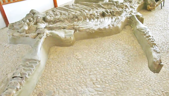 Villa de Leyva - Hotel Villa de Leyva Plaza - Villa de Leyva, Boyacá - image - 6